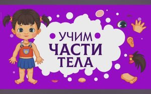 Карточки Домана. Части тела. Глобальное чтение. Учимся говорить.
