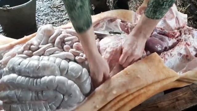 Как Разделать Свиную Тушу ?!! Часть 1 . смотреть онлайн