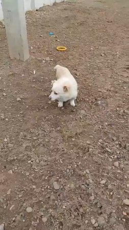 Самый маленький парнишка