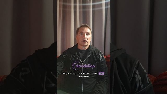 Митохондрии