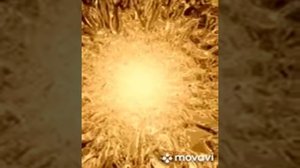 ОГНЕННАЯ ДЕВА. ЕЛЕНА КУЗНЕЦОВА