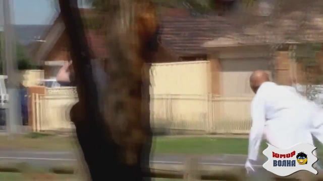 СТРАШНЫЕ ПРИКОЛЫ над ЛЮДЬМИ! ВЫПУСК #94 смотреть онлайн