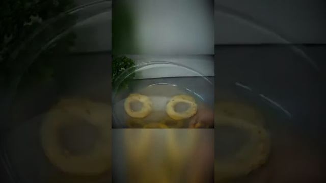 chicken rings смотреть онлайн