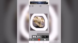 Правда ли, что шрам съел Муфасу. чей череп в лапе шрама.