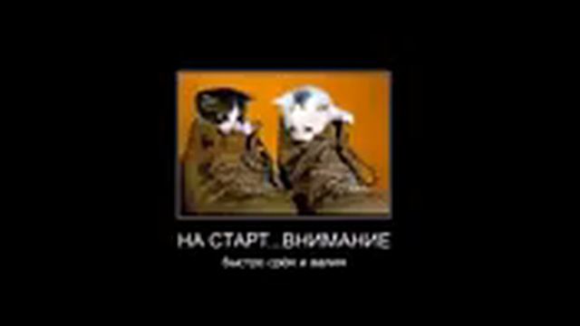 смешные фотоприколы 6 смотреть онлайн