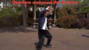 Нэйцзяцюань Тошадао