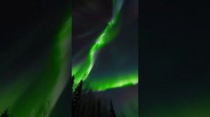удовлетворительное видео