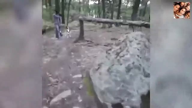 Смешные падения людей смотреть онлайн