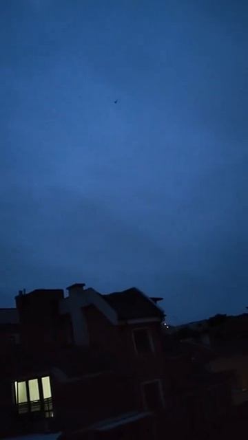 Птицу бьёт током в воздухе? Вот что значит - энергия повсюду!