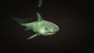 Shark Transformation | Animal Transformation | Peyote Plants Location | GTA V