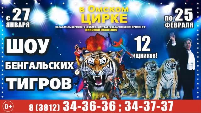 CIRK OMSK смотреть онлайн