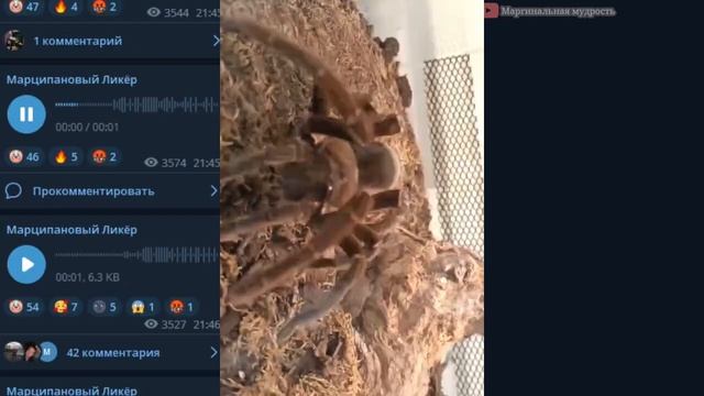 Маргинал ползёт смотреть онлайн