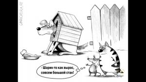Подборка карикатур