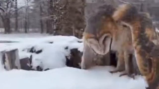 ЛЕТЕТЬ МОЖЕШЬ