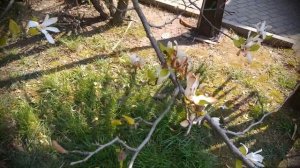 ● Ищем Клад в парке Ривьера в Сочи. Нашли волшебный сундук пиратов.