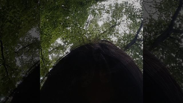 забытая улица смотреть онлайн