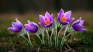 🌿 ЦЕЛЕБНЫЕ ЗВУКИ!!! БЕЗУМНО КРАСИВАЯ МУЗЫКА ДЛЯ РЕЛАКСАЦИИ! 🎵 ЧАРУЮЩАЯ МУЗЫКА ДЛЯ ДУШИ