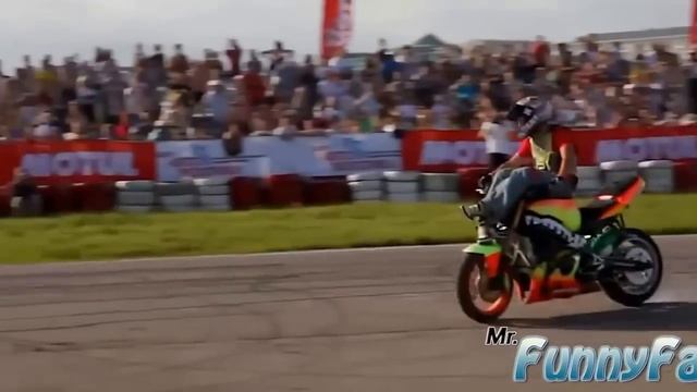 Смешные приколы с кошками 2014. Приколы на свадьбе. Приколы с девушками смотреть онлайн