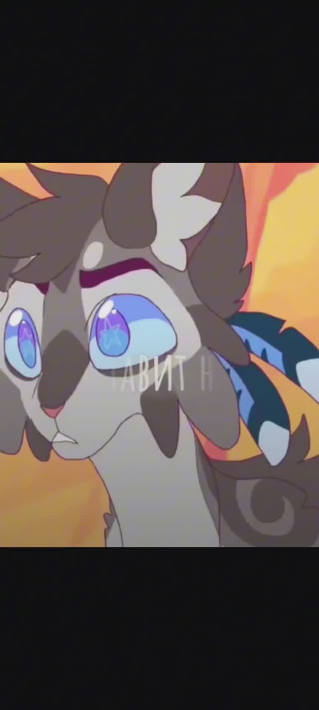 Коты воители/воробьйное крылышко смотреть онлайн