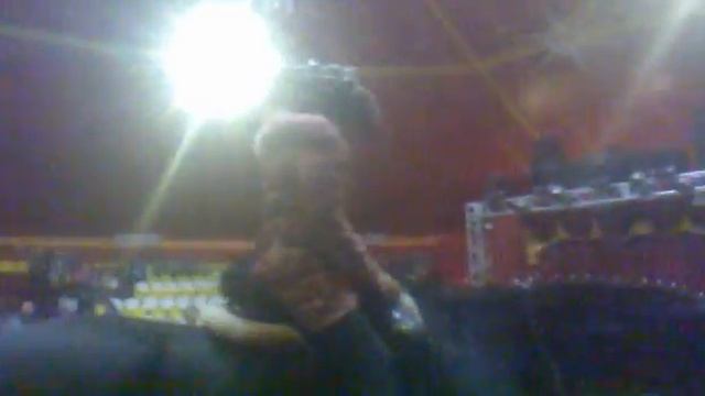 лошадь в цирке смотреть онлайн