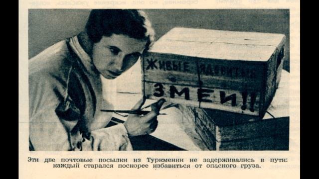 248VokZal - Подогрели 2019