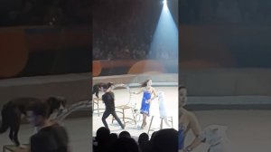 Выступление собак в цирке