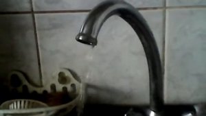 Кран дельфин