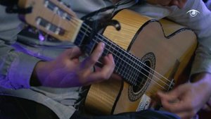 Costa Dorada - Bulls on dust