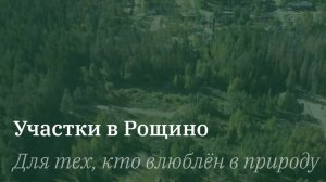 Земельные участки в п.Рощино Мельничный проезд.