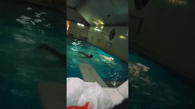 540 веселее осваивать в бассейне