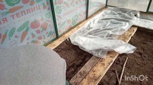 Сею в теплице капусту,свеклу и настурцыю . Вскопала гряду и посеяла сидираты.