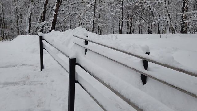 Парк Юность  Зима
