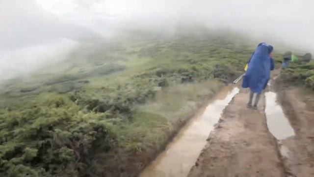 Путешествие в Карпаты: Говерла+Петрос смотреть онлайн