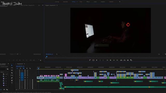 How to show Adobe Premiere pro timeline screen record TUTORIAL Bangla смотреть онлайн