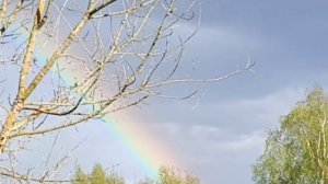 Первая весенняя радуга