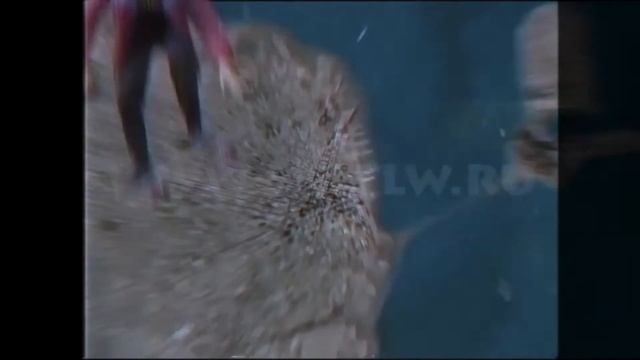 Лютый космический чувашский ФЛЕК$$$