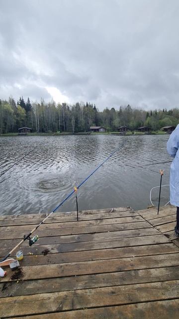 Поимка карпа смотреть онлайн