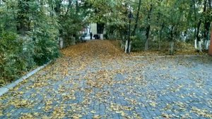 лезги прикол зарифа кухмазова шакир