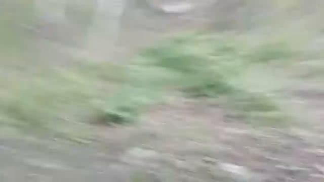 Катим колесо с горы😂☺