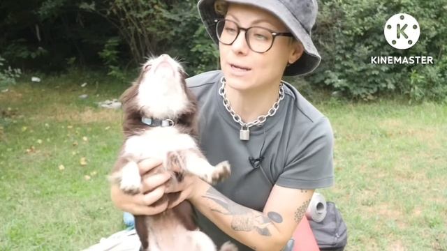 Смешные и прикольные моменты из последних видео Anny Magic🔮