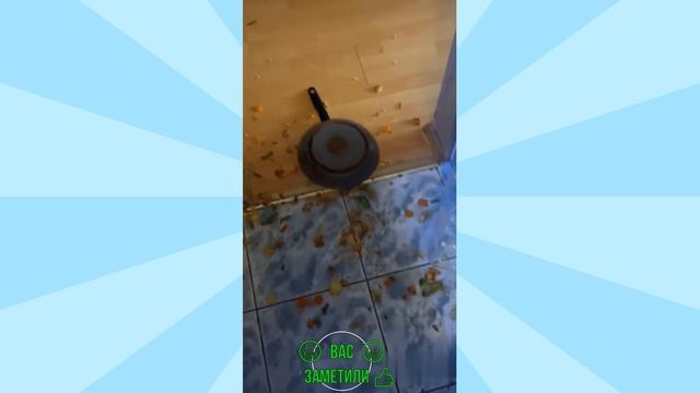 best coub video / cube compilation / funny videos / Смешные видео приколы/ Coub 12
