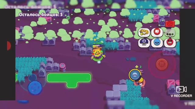 апаем дерила под музику кіт ти маму мав рататата смотреть онлайн