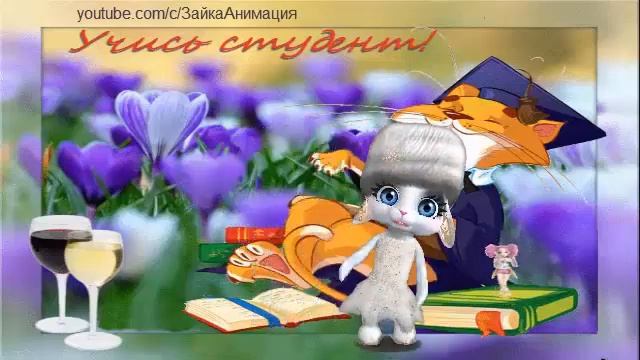 ZOOBE зайка Поздравление С Днём Студента !