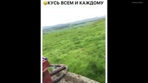 Подборка самых популярных роликов из Инстаграм #6