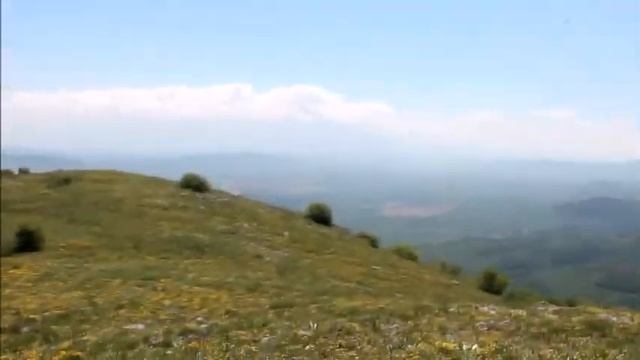 ДИВИТЕ БОЖУРИ В РЕЗЕРВАТ "ЯНКЬОВЕЦ'' В КОНЯВСКАТА ПЛАНИНА смотреть онлайн