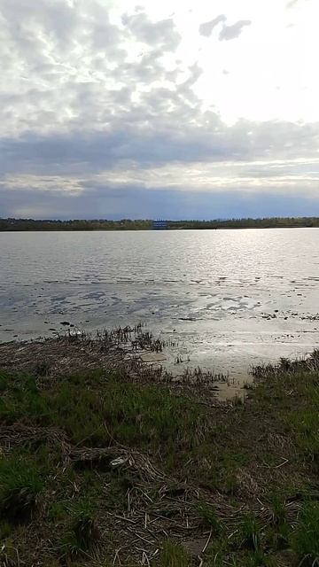 Уровень воды в реке Волге на 1 мая 2025 года!