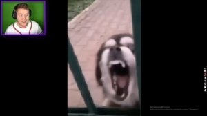 ОЧЕНЬ ДОЛГО РЖАЛ