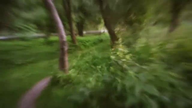 Киев, Нивки, Щербакова смотреть онлайн