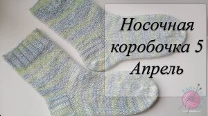 СП Носочная Коробочка 5 с Еленой Велиной/ Отчетное видео за апрель