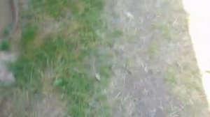 дом на колёсах. корч из досок